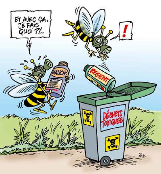 Nouvelles Abeilles-humourenvrac